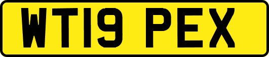 WT19PEX