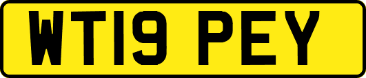 WT19PEY