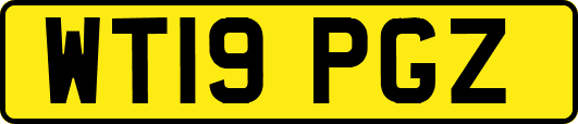 WT19PGZ