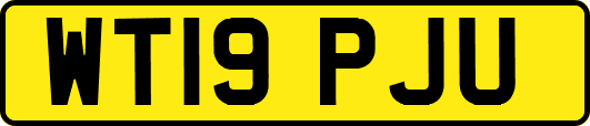 WT19PJU