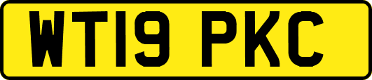 WT19PKC