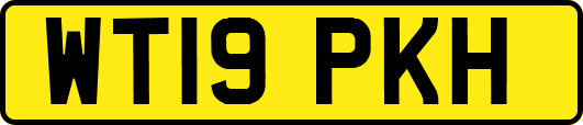 WT19PKH