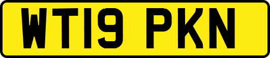 WT19PKN