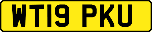 WT19PKU