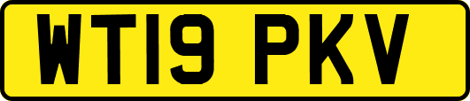 WT19PKV