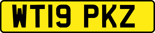 WT19PKZ