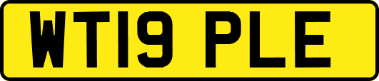 WT19PLE