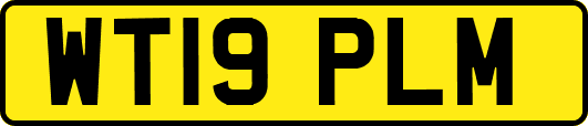 WT19PLM