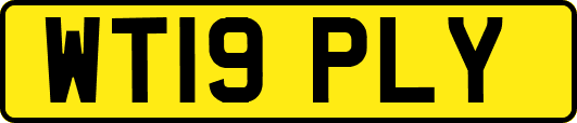 WT19PLY