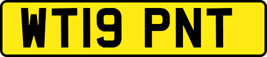 WT19PNT