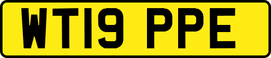 WT19PPE