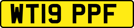 WT19PPF