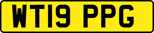 WT19PPG