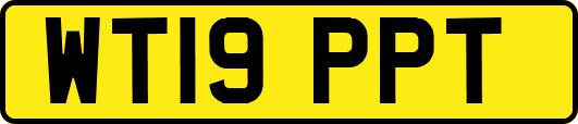 WT19PPT