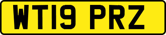 WT19PRZ