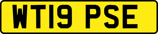 WT19PSE