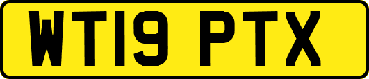 WT19PTX