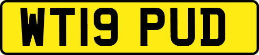 WT19PUD