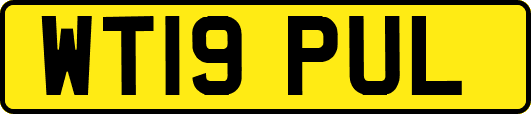 WT19PUL