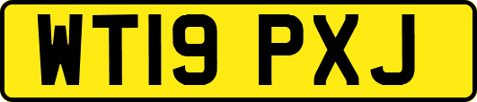 WT19PXJ