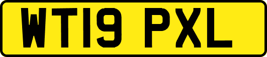 WT19PXL