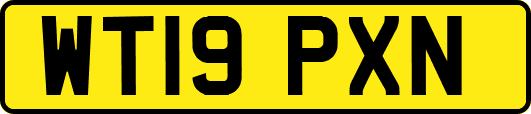 WT19PXN