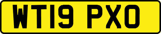 WT19PXO