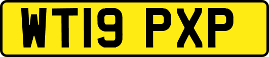 WT19PXP