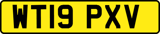 WT19PXV