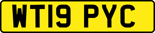 WT19PYC