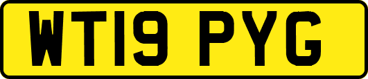 WT19PYG