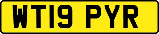 WT19PYR