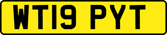 WT19PYT