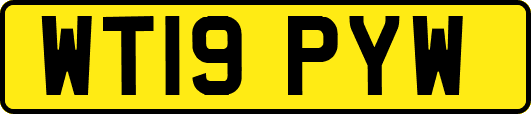 WT19PYW