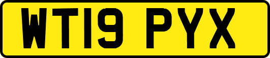 WT19PYX