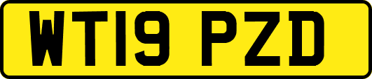 WT19PZD