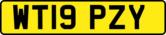WT19PZY