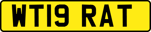 WT19RAT