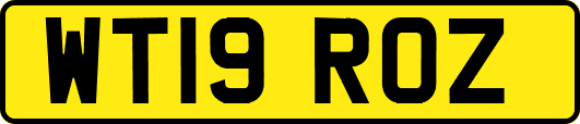 WT19ROZ