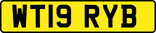 WT19RYB