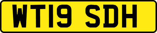 WT19SDH
