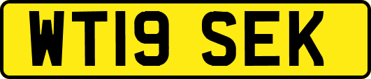 WT19SEK