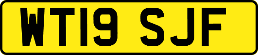 WT19SJF