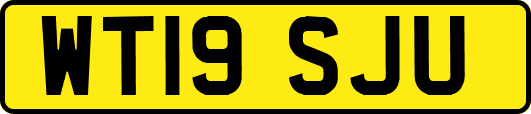 WT19SJU
