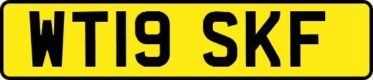 WT19SKF