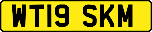 WT19SKM