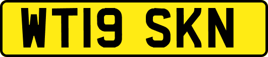 WT19SKN