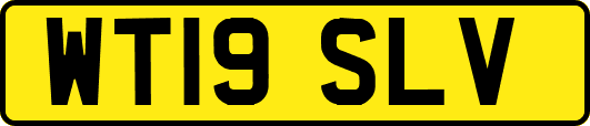 WT19SLV