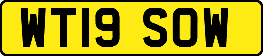 WT19SOW