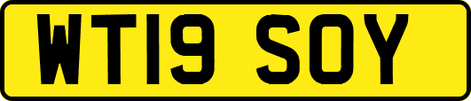 WT19SOY